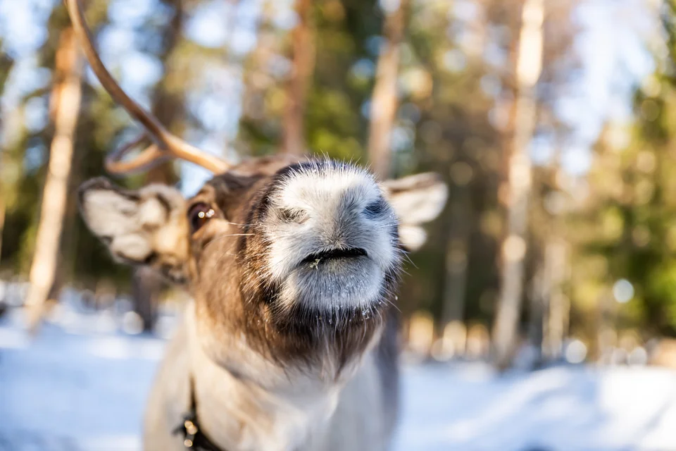 © Klaus Hansen Fotografie